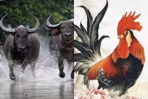 2 năm tới: 3 tuổi đi Đông gặp hố vàng, đi Tây gặp hố bạc