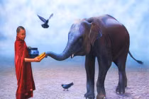 Tâm từ vi diệu