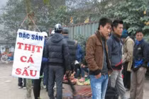 Xẻ thịt cá mập, phanh thây cá sấu... bán giá “bèo“
