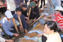 Thuốc lá - thuốc lào, thuốc nào độc hơn?