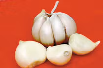 Ăn tỏi ngừa ung thư đại trực tràng