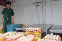 Bắt hơn 3000 quả trứng gà thối trên đường đi tiêu thụ