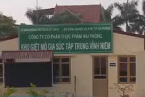 Hải Phòng: Lò giết mổ gia súc “tra tấn” người dân