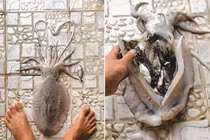 Mua con mực về rạch bụng bất ngờ thấy 11 thứ khác bên trong