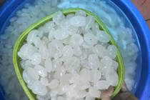 Những tác dụng không ngờ của hạt đác khiến chị em "săn lùng"