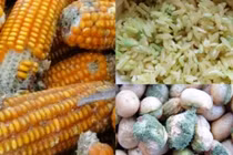 Điểm mặt 7 vật dụng nhà bếp tiềm ẩn nguy cơ ung thư đáng sợ