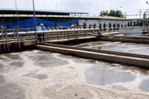 Video mục sở thị ống xả thải của Formosa dưới đáy biển Vũng Áng