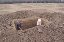Ông lão thử vận may nào ngờ đào trúng "kho vàng" trăm người thèm muốn
