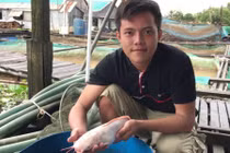 Video: Gặp người sở hữu cả ngàn con cá trê hồng độc lạ