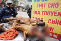 Nội thành Hà Nội không còn bán thịt chó từ năm 2021