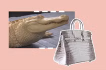 Video: Giải mã nguyên nhân túi Hermès Himalaya Birkin giá 12 tỷ đồng