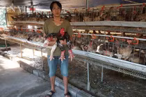 Nuôi gà chân voi đẻ khỏe, kiếm vài chục triệu mỗi tháng