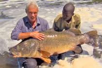 Video: Siêu cần thủ câu được cá rô nặng 45kg trên sông Nile