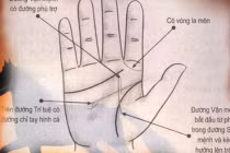 Cầm bàn tay vợ, nhìn điểm này biết ngay cô ấy có mệnh quý nhân