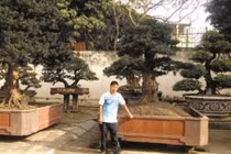 Đại gia Toàn đô la: Ăn quả đắng đau đớn chỉ vì "sính ngoại"