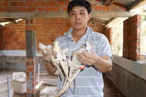 "Đại gia chân đất" nuôi những con kỳ lạ, mỗi năm lãi 2 tỷ đồng
