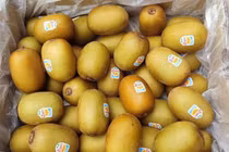 Loại quả một thời hàng VIP nhập khẩu, nay rẻ hơn trái cây Trung Quốc