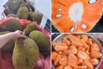 Mít ruột đỏ múi to dày, thơm ngọt 120.000 đồng/kg vẫn hút khách