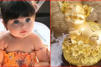 Thực hư sinh con năm Kỷ Hợi 2019 là bắt được heo vàng