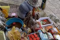 Nét quê độc đáo ở khu chợ chuyên bán sâu bọ tại TP.HCM