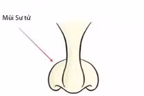 Phụ nữ sở hữu 3 tướng mũi này giàu sang, an nhàn cả đời