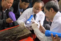Chuyện ly kỳ quanh những cuộc tìm mộ nhà tiên tri Nguyễn Bỉnh Khiêm
