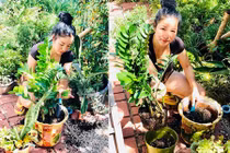 Chiêm ngưỡng khu vườn tràn ngập cây xanh của Thúy Nga