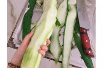 Chê khéo chị dâu "đảm", em chồng nhận "rổ gạch"