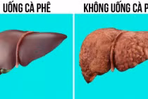 Phụ nữ uống cà phê sẽ có ít mỡ thừa, gan khỏe và sống thọ hơn