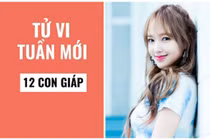 Video: Tử vi tuần mới từ 25/11 đến 1/12 năm 2019 của 12 con giáp
