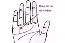 Sở hữu đường chỉ tay này, đảm bảo hậu vận giàu sang