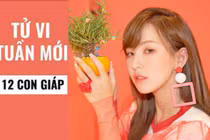 Video: Tử vi tuần mới từ ngày 13/1 đến 19/1 năm 2020 của 12 con giáp