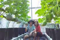 Chàng trai biến sân thượng thành trang trại thu nhỏ khiến ai cũng mê