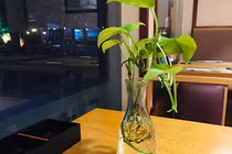Vợ đòi ly hôn dù tôi không cờ bạc, rượu chè, gái gú