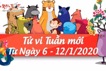 Video: Tử vi tuần mới từ 6/1 đến 12/1 năm 2020 của 12 con giáp