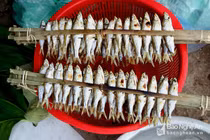La liệt "đặc sản" chuột, nòng nọc, ấu trùng,.. ở chợ xép vùng cao