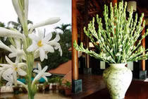 Cúng hoa trên bàn thờ dù là ai cũng nhất định phải biết điều này