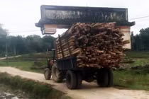 Xe công nông chở keo "khiêng" luôn cổng làng ở Quảng Nam