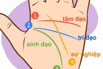 3 đường chỉ tay cực phẩm tượng trưng cho Phúc - Lộc - Thọ