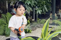 Cường Đô La khoe loạt ảnh ái nữ làm việc đầu tuần