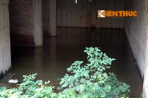 Ghê rợn biệt thự tiền tỉ giữa Hà Nội chứa ổ bệnh