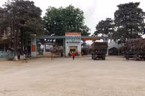 Điểm mặt những sai phạm của Công ty mía đường Sơn La