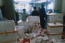 Kiểm tra, phát hiện 370kg dâu tây Trung Quốc ở Đà Lạt