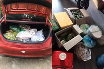 Hậu nghỉ lễ và cảnh túi lớn, túi bé lên thành phố nhìn “choáng“