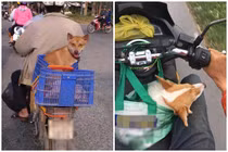 Cười nghiêng ngả trước 1001 biểu cảm về quê ăn Tết của “boss”