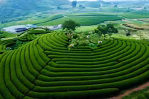 Mộc Châu với kỳ vọng trở thành điểm đến du lịch năng động