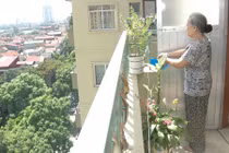 Phong thủy: Không trồng quá nhiều cây ở ban công chung cư