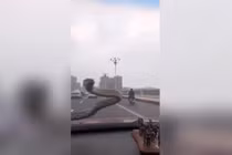 Video: Hoảng hồn thấy rắn ngoe ngẩy trước kính chắn gió ôtô đang chạy