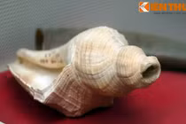 Kỷ vật của cuộc khởi nghĩa đầu tiên dưới sự lãnh đạo của Đảng