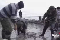 Video: Kỳ lạ voi ma mút 10.000 tuổi còn nguyên gân và lớp da 